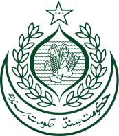govt-sindh